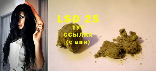ECSTASY Белокуриха