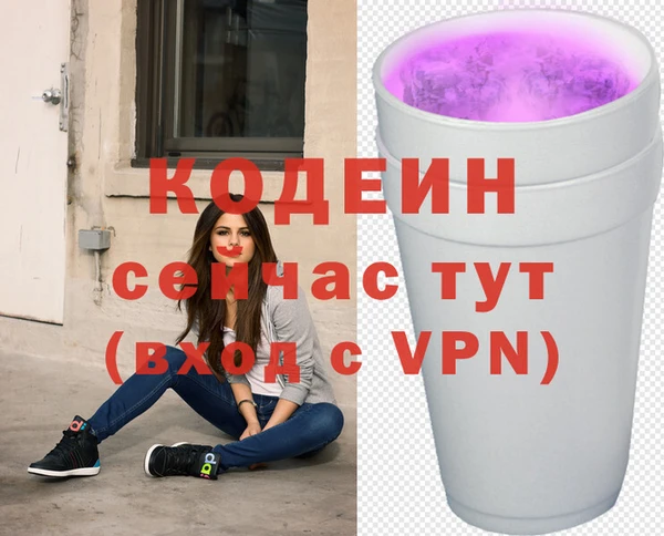 ECSTASY Белокуриха