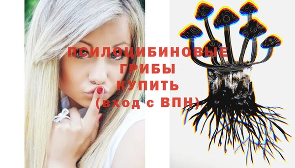 ECSTASY Белокуриха