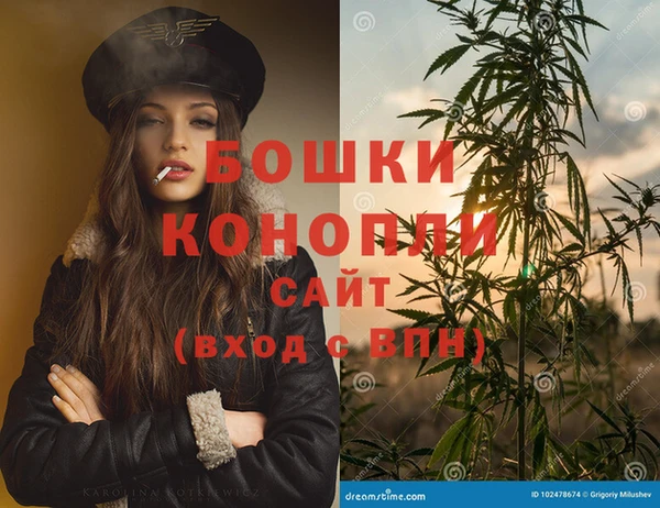 ECSTASY Белокуриха