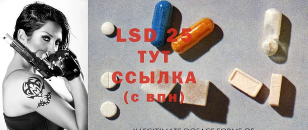 ECSTASY Белокуриха