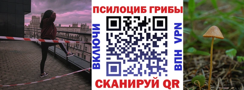 Псилоцибиновые грибы мицелий где найти наркотики Бутурлиновка